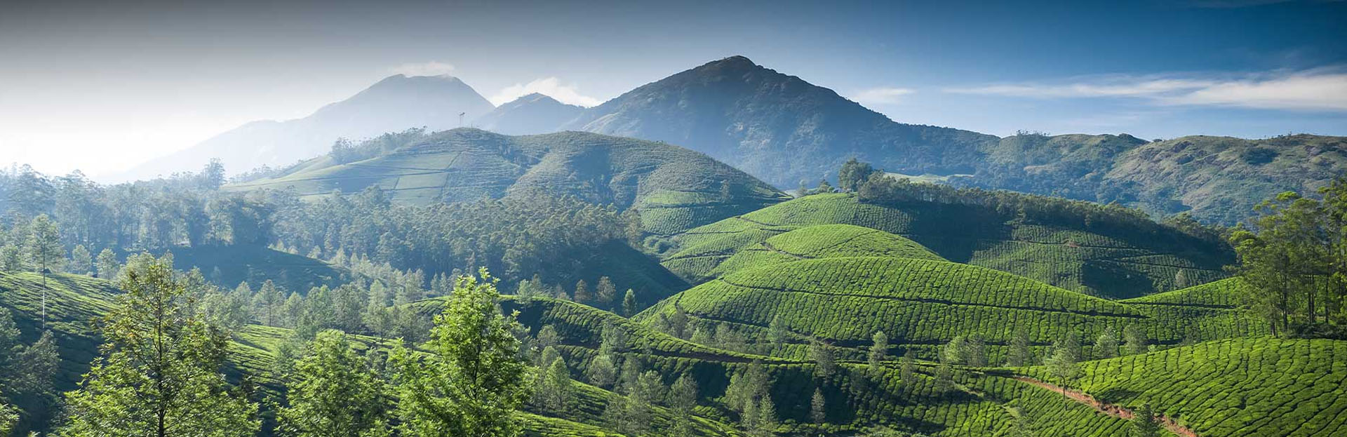 activities in sri lanka