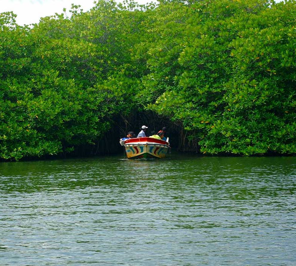 madu river boat safari in sri lanka