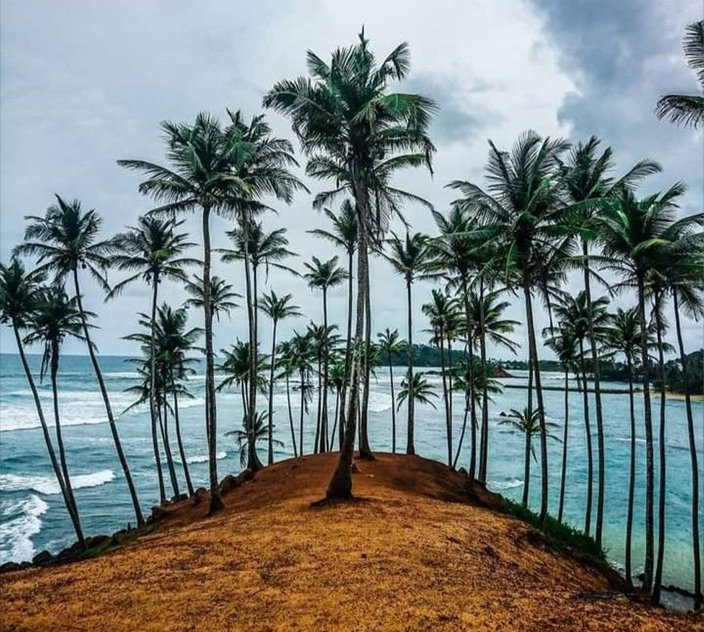 mirissa sri lanka