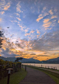 Nuwara Eliya Hill Country