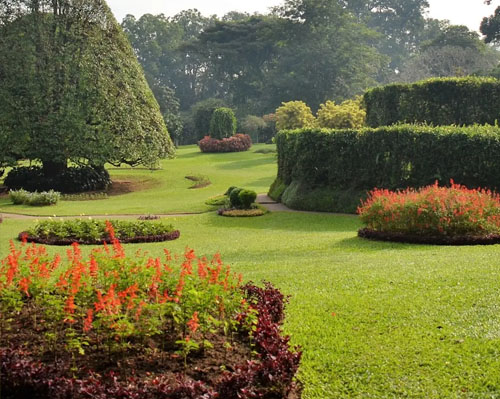Peradeniya botanical garden