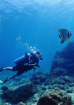 Snorkeling & Scuba Diving
